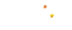 114600vbz1u8gc66xj8dpj.jpg