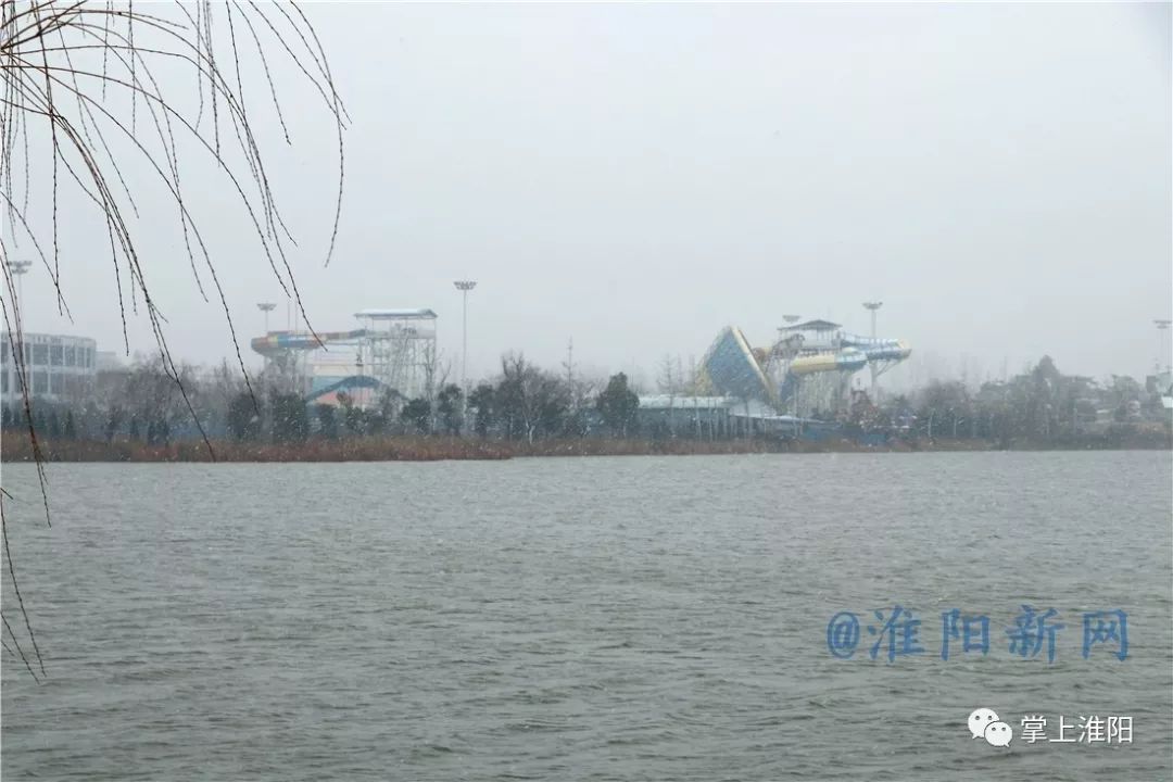 171820wkdxajzootzdoto8.jpg