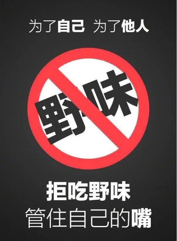 拒绝野味