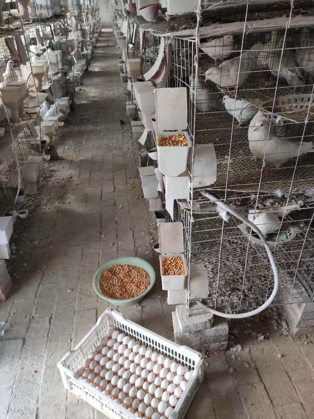 微信图片_20200322163420.jpg