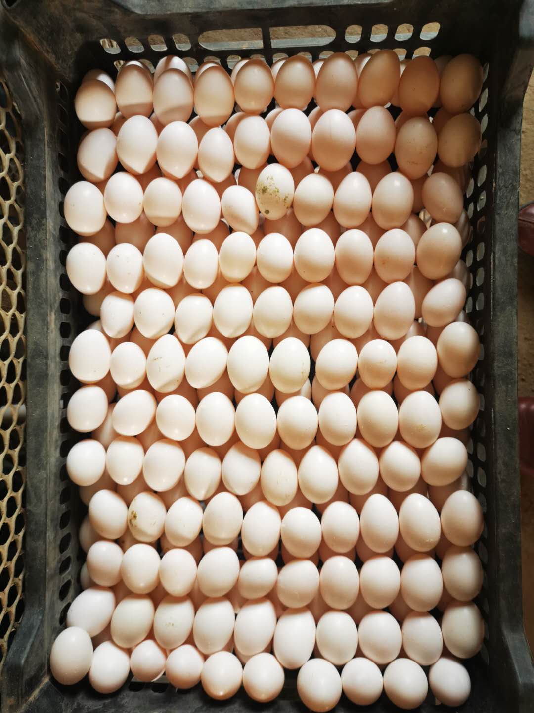 微信图片_20200322163423.jpg