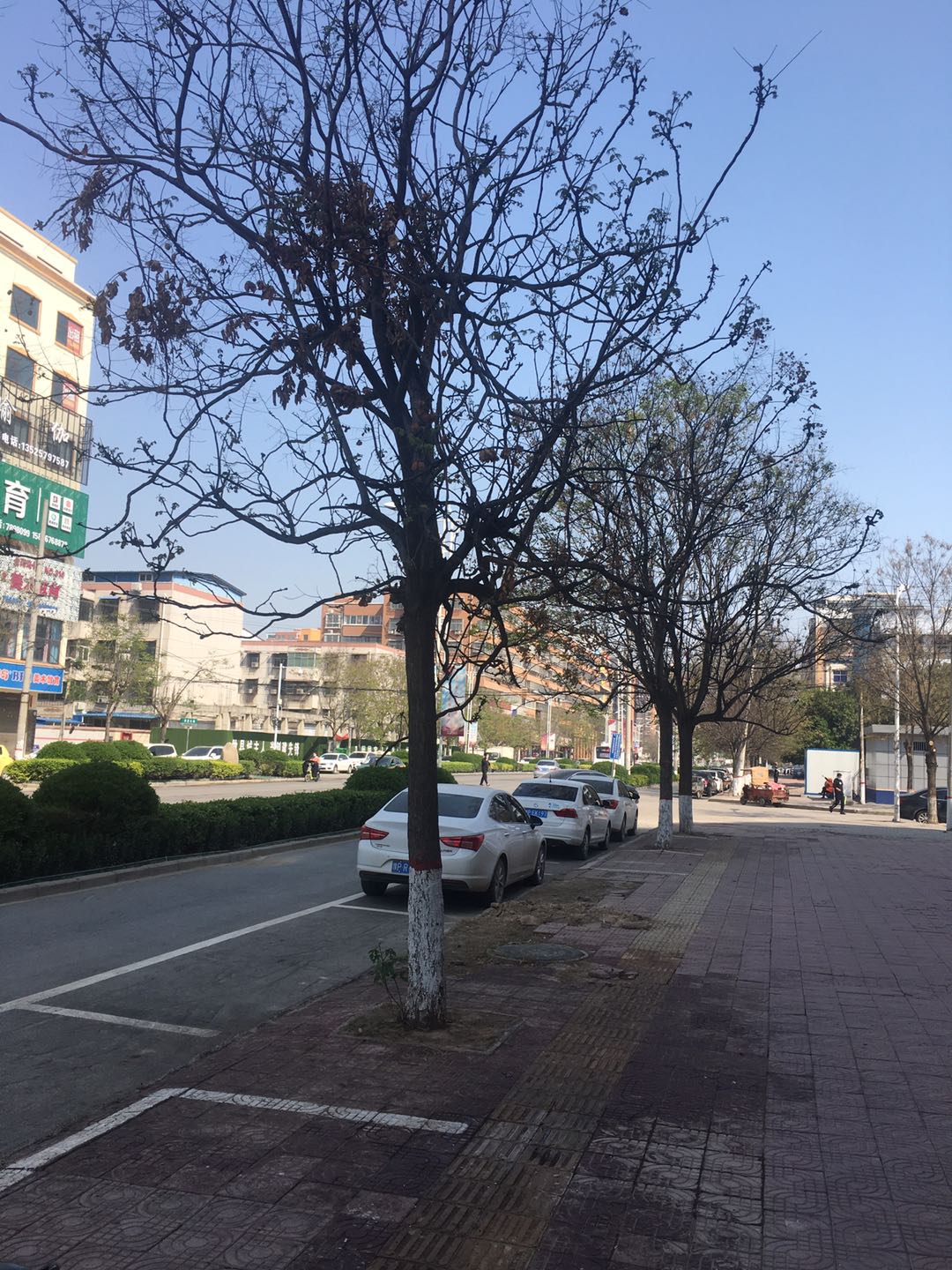 微信图片_202004071051122.jpg