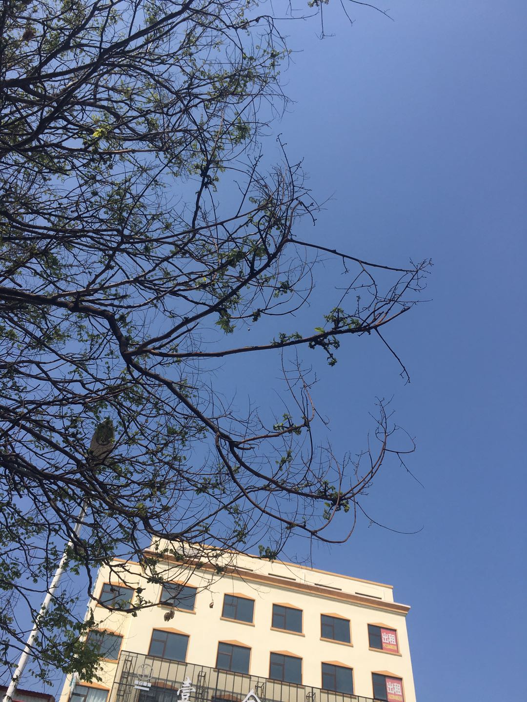 微信图片_202004071051121.jpg