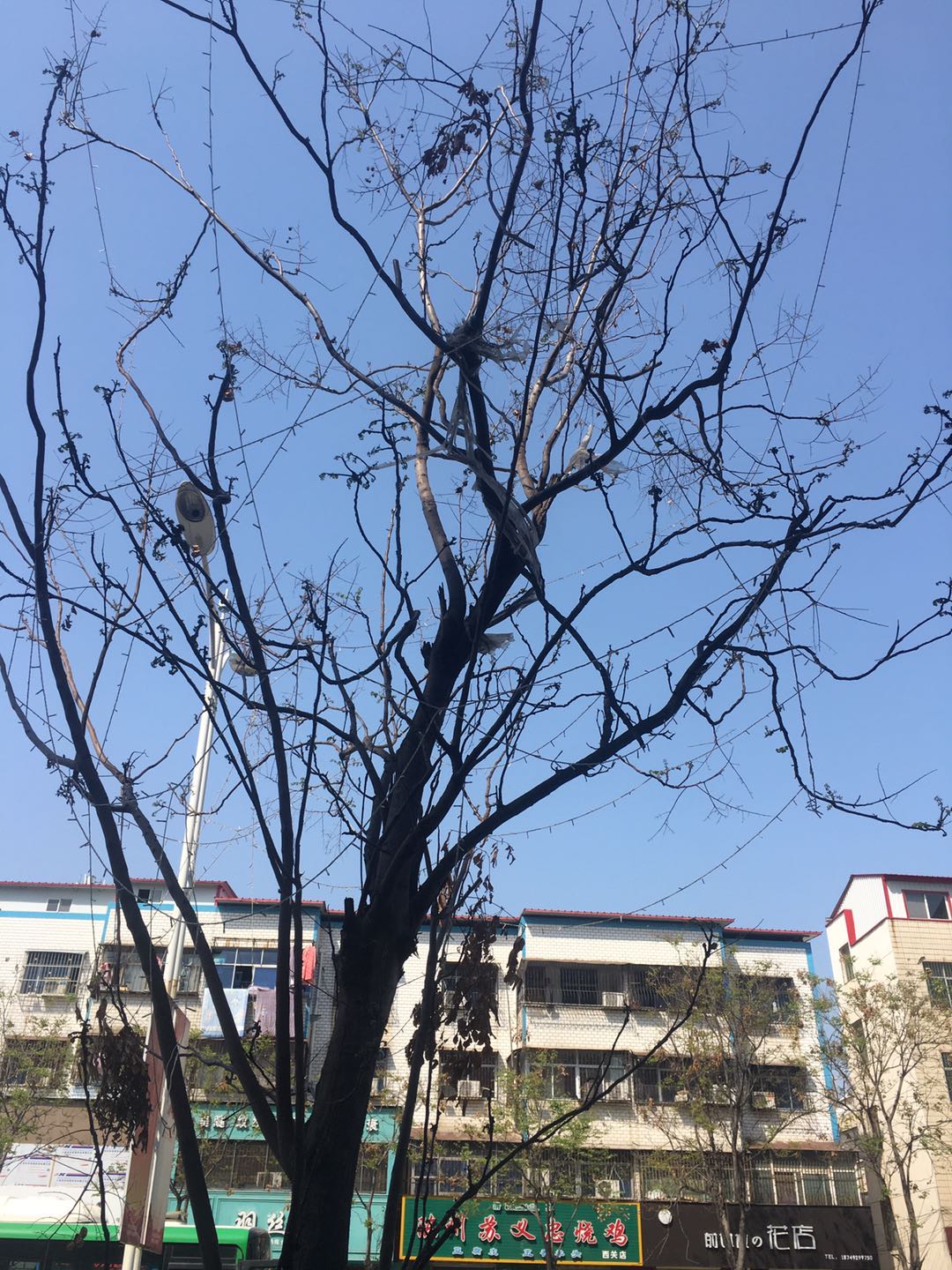 微信图片_202004071051123.jpg