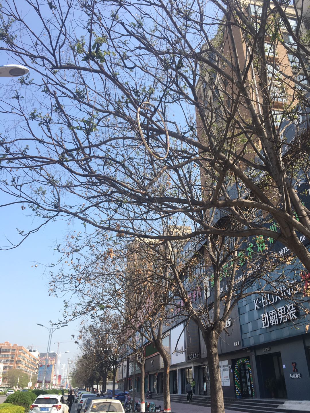 微信图片_202004071051125.jpg