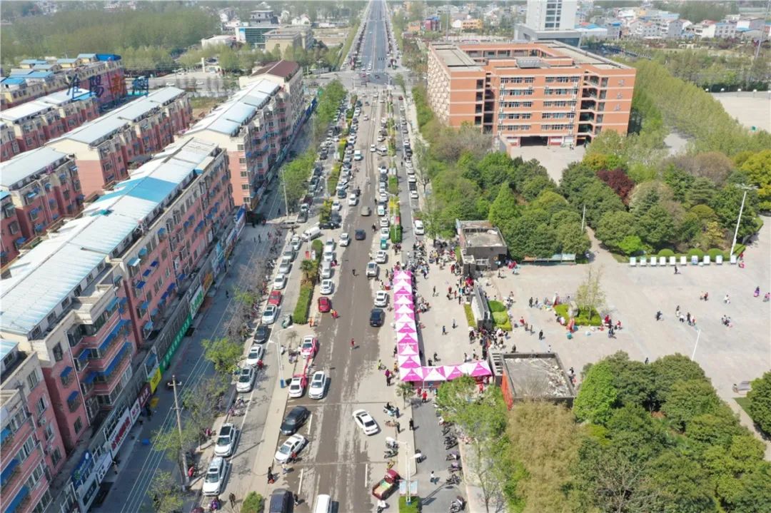 185220f3vxolzro80hd5dd.jpg