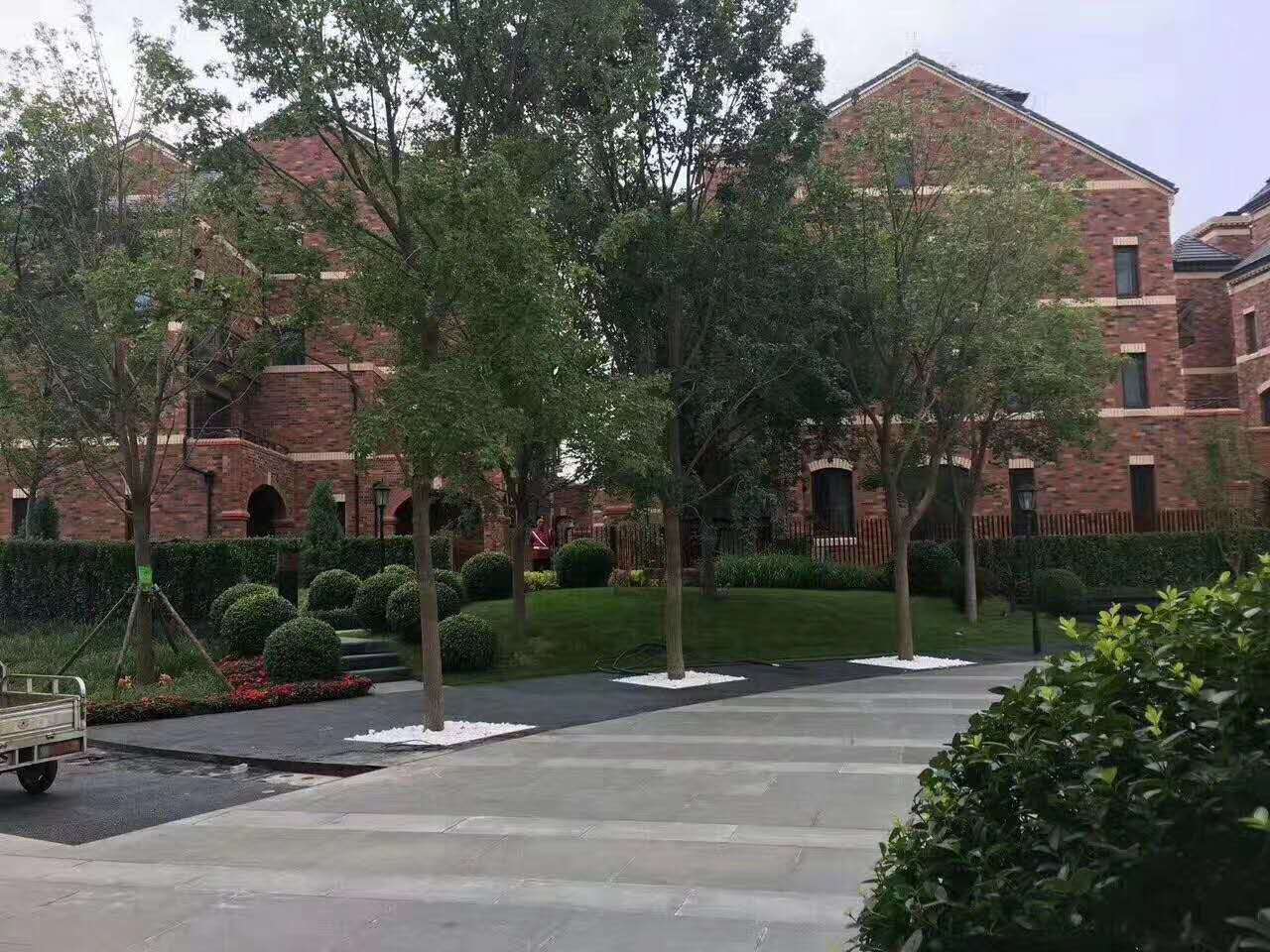 微信图片_202004250918077.jpg