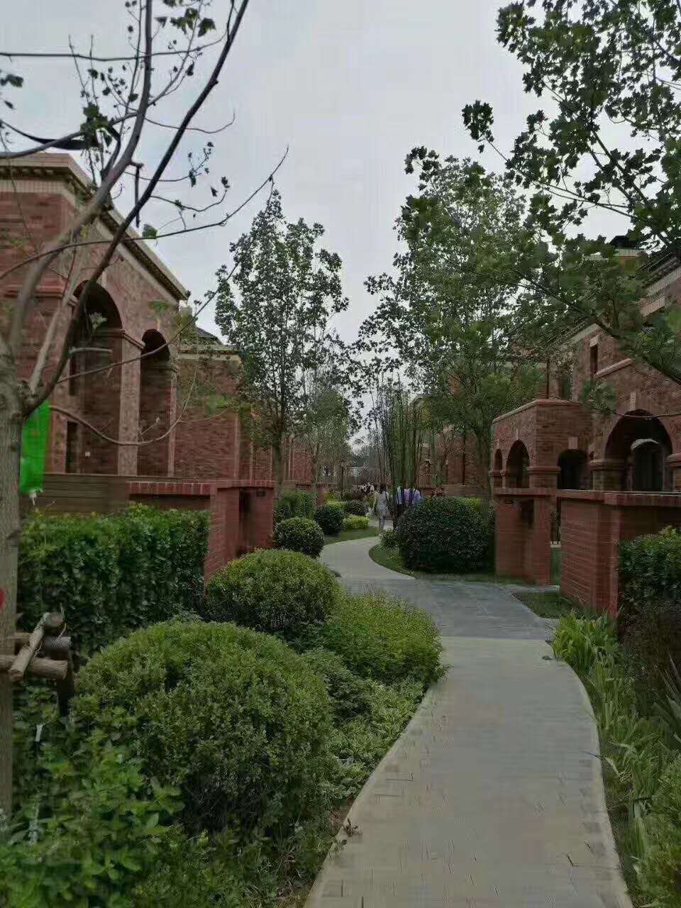 微信图片_202004250918078.jpg