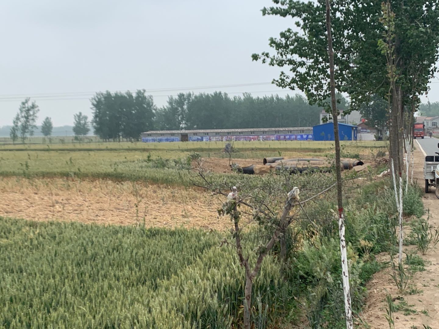 微信图片_20200507102236.jpg