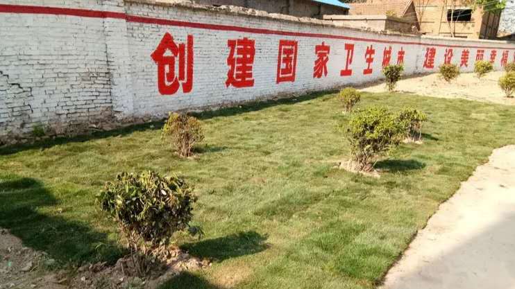 微信图片_20200526235337.jpg