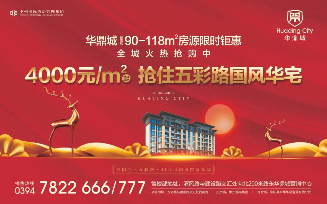 105328hpakkoggozpk2rrp.jpg
