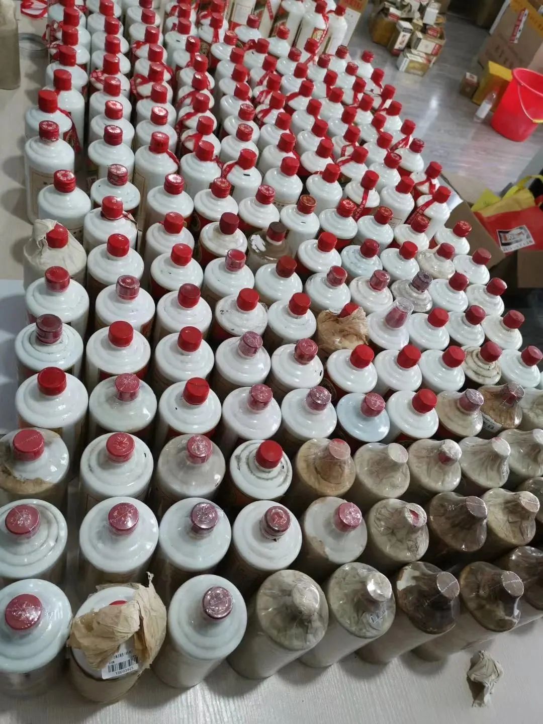 141526wggvpzpkpkk7ani1.jpg