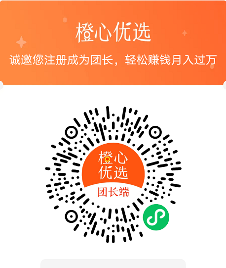 团长注册.png