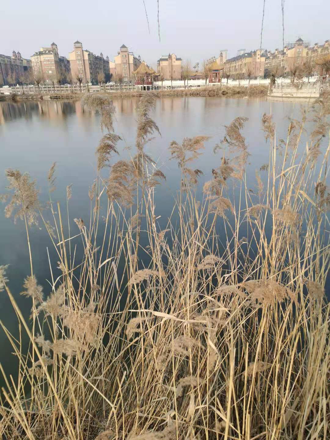 微信图片_20210131104136.jpg