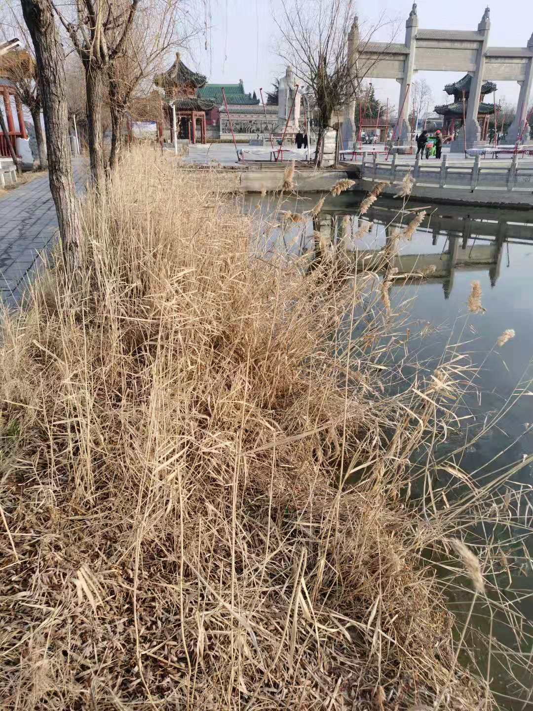微信图片_20210131104151.jpg