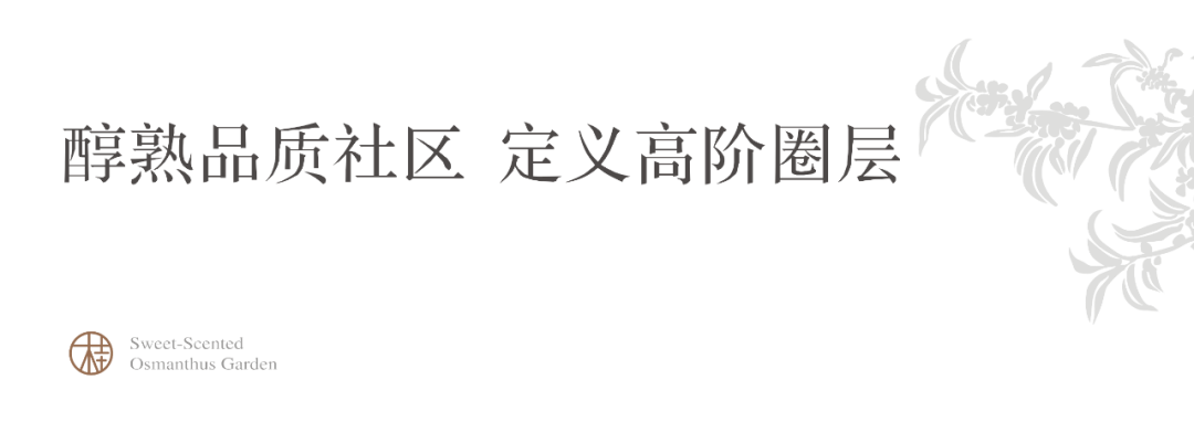 215553mozp6orjpp6j5ekr.png