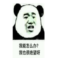 06101359815359.jpg