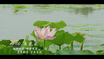 101151axjx56m6il5iuhrm.gif