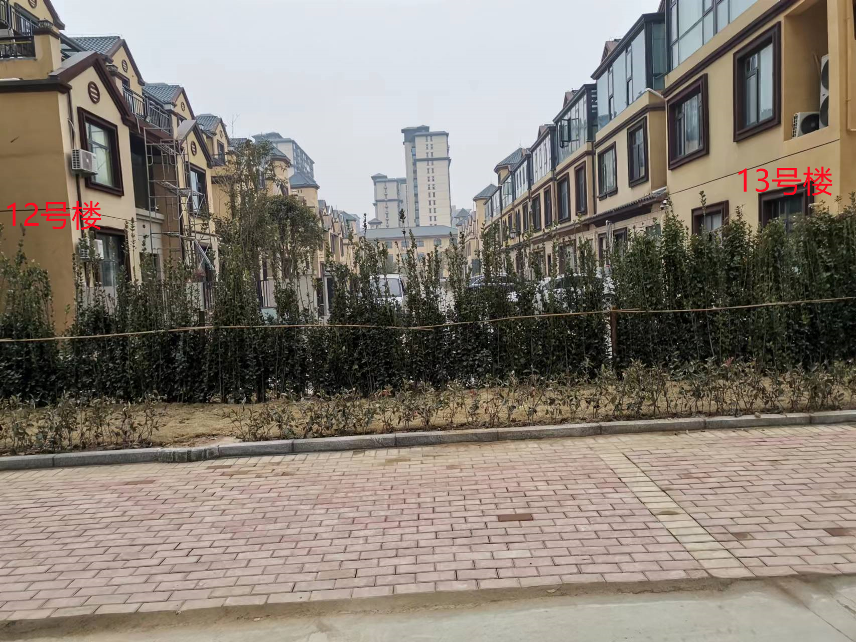 微信图片_20230202155644.jpg