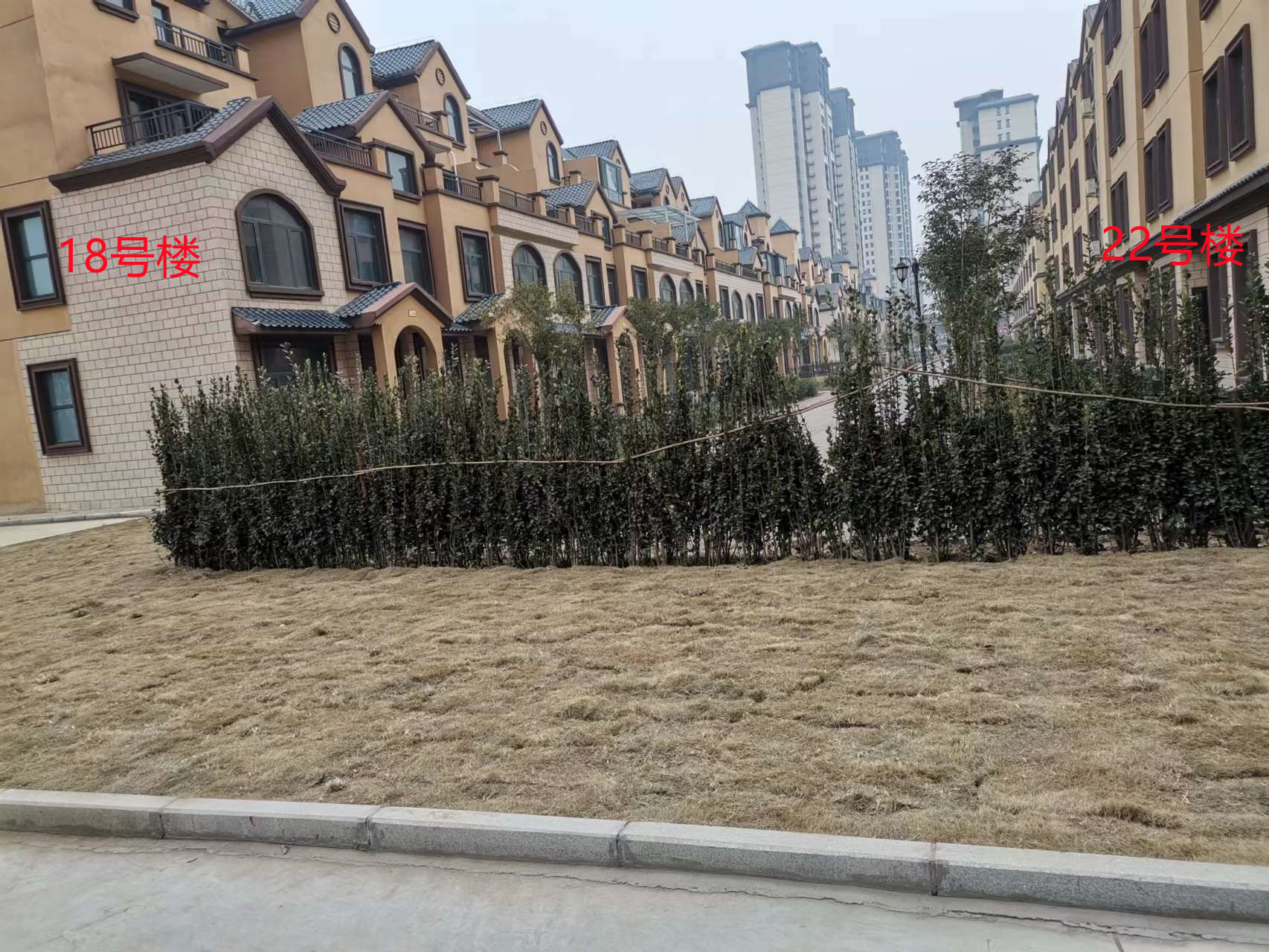 微信图片_20230202155654.jpg