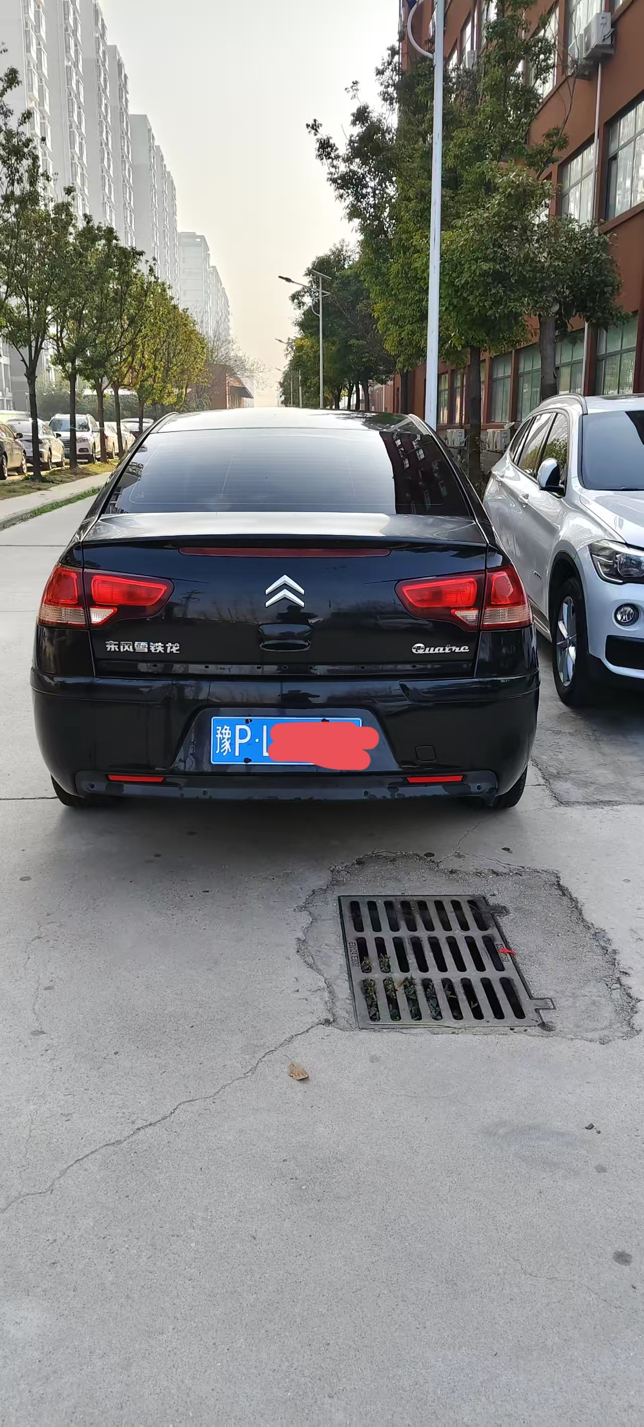 后.jpg