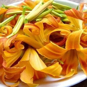 黄花菜为什么是健脑菜