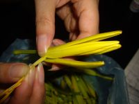 炝拌黄花菜的做法步骤